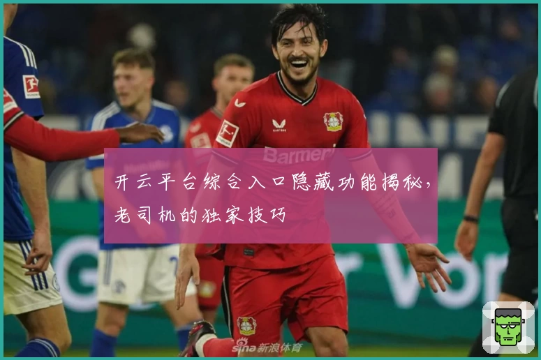 开云平台综合入口隐藏功能揭秘，老司机的独家技巧