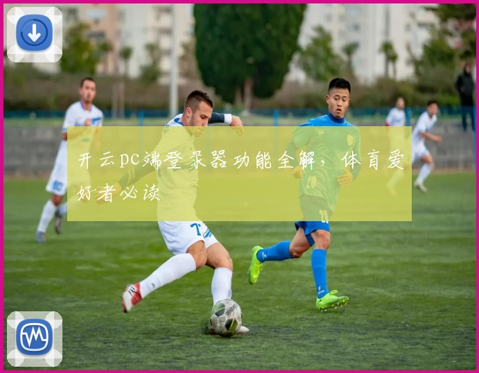 开云pc端登录器功能全解,体育爱好者必读