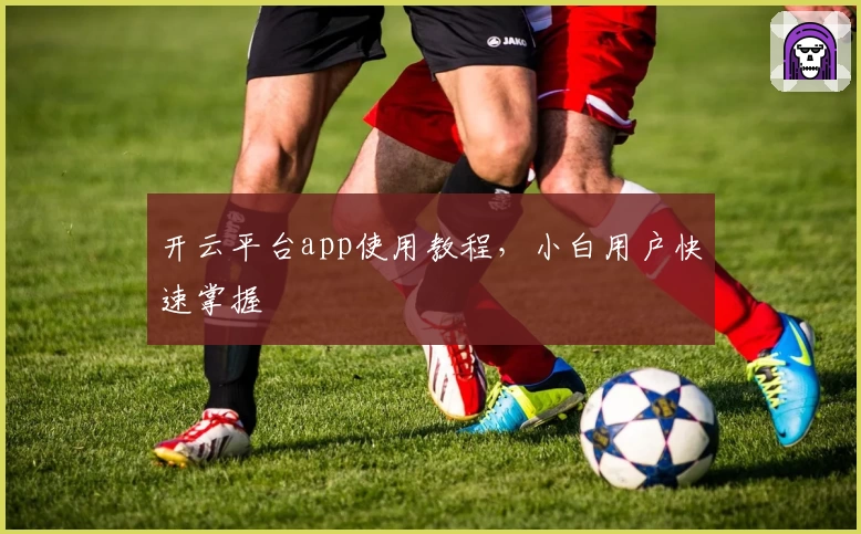 开云平台app使用教程,小白用户快速掌握