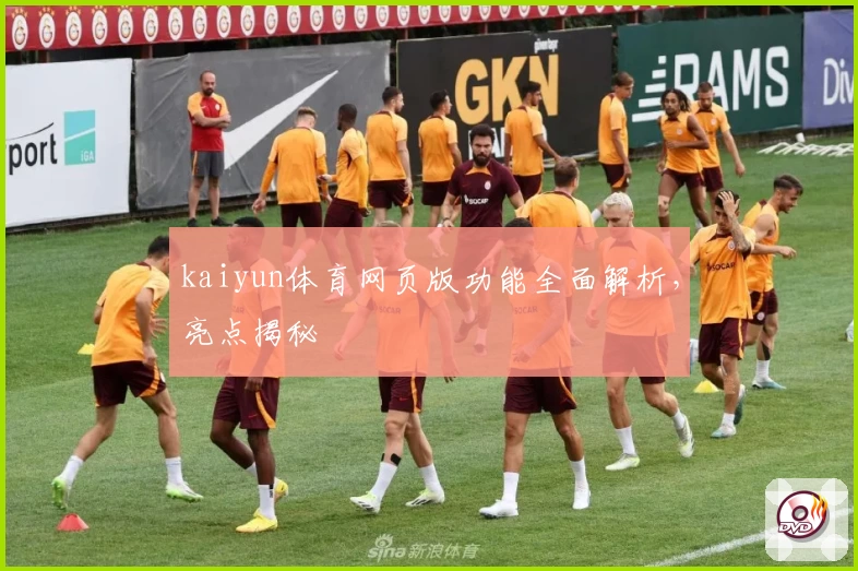 kaiyun体育网页版功能全面解析，亮点揭秘
